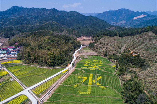 生態修復需用系統思維