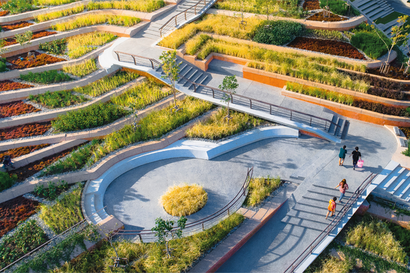 泰國國立法政大學城市屋頂農場