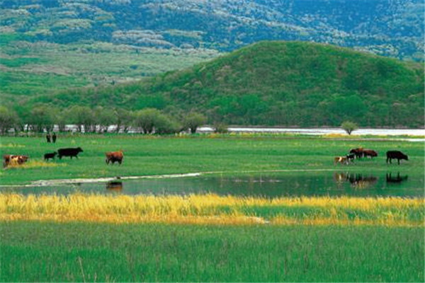 草原生態(tài)治理保護(hù)的原則和對策