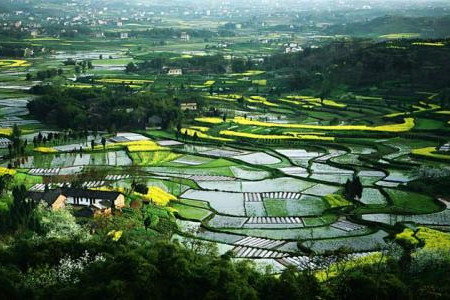 如何推動鄉村與小城鎮協同發展