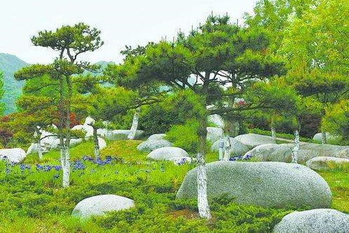 “移石造景”之風當狠剎