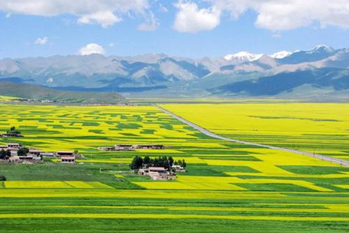 以生態振興推動實現鄉村振興