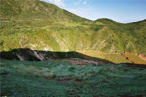 花式復綠暴露出哪些問題？