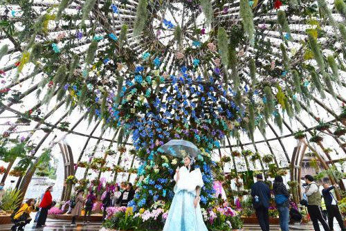 重慶啟幕第三屆城市花博會 線上線下迎花卉盛宴