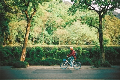 專家杭州為公園城市建設出謀劃策