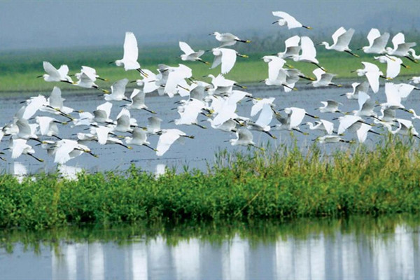 新的自然保護地管理體系優勢何在