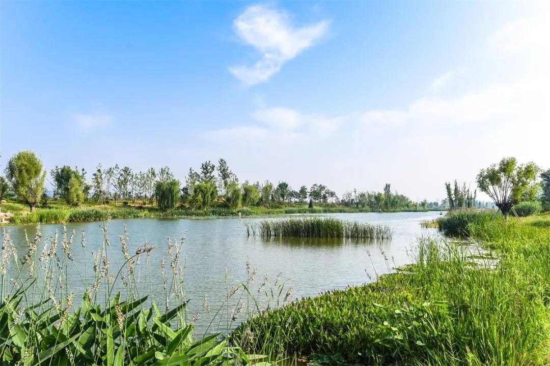 生態保護修復考驗國土空間治理能力