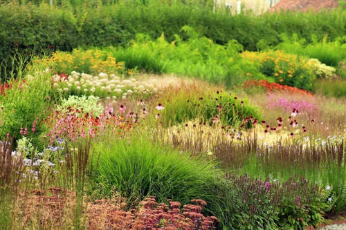 從花境到草境