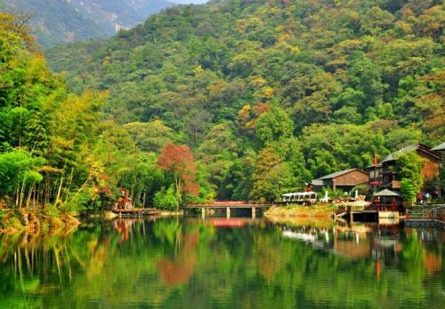 森林康養將會迎來爆發式增長