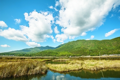 科學務實構建生態(tài)修復新格局