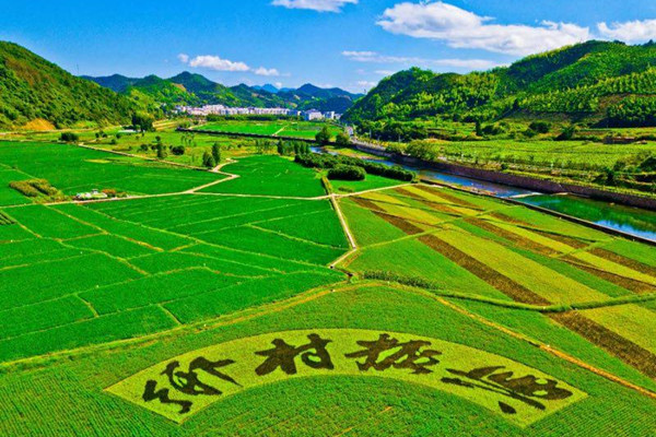 《鄉村振興促進法（草案）》公布