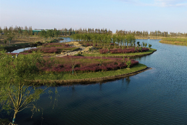 第十屆中國花博會園區(qū)水系整治工程完工