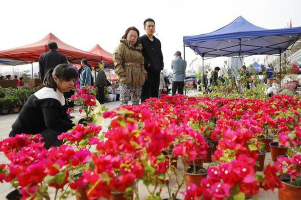 第四屆蘭州花卉博覽會(huì)開(kāi)幕