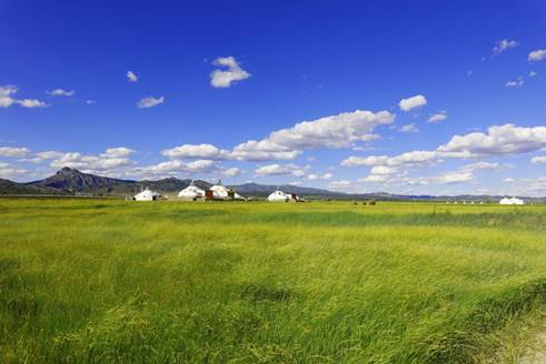 國辦印發加強草原保護修復若干意見