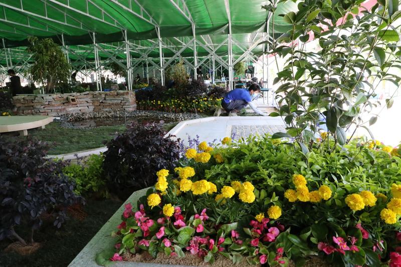 66名學(xué)生在深圳秀園藝“功夫” 4天讓沙地變花園