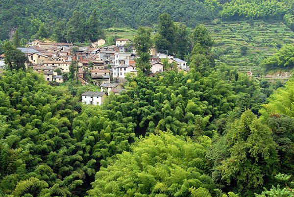 打造國家傳統村落公園是否可行？