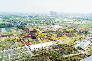 第四屆世界花園大會4月27日在浙江啟幕