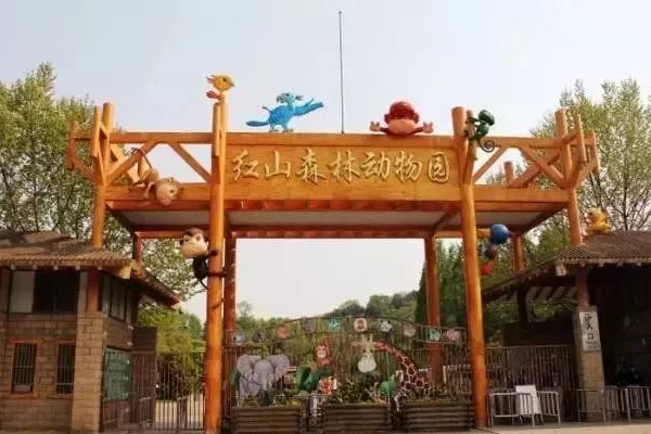 22國(guó)師生為南京紅山動(dòng)物園構(gòu)筑“動(dòng)物理想家”