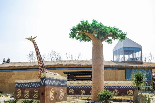 揚州世園會吉布提園 主題園事活動展現非洲文化