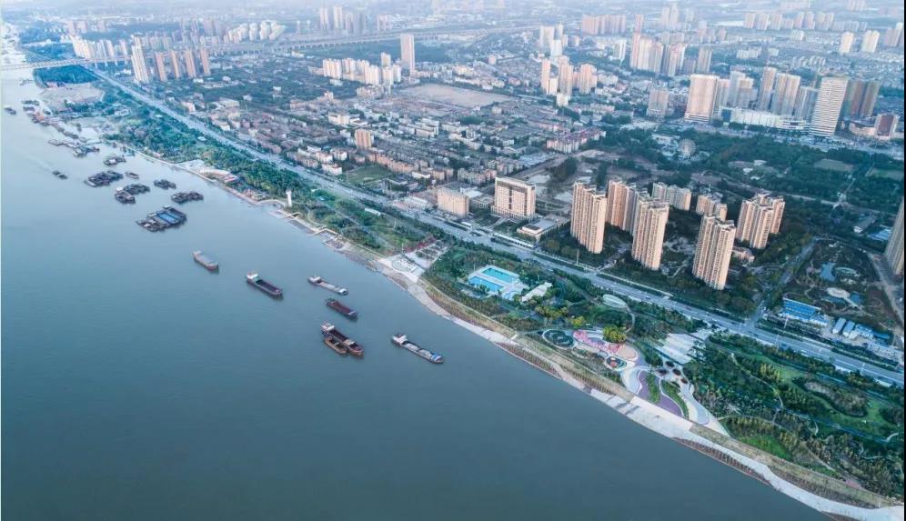 園冶杯參賽作品丨武青堤整治工程