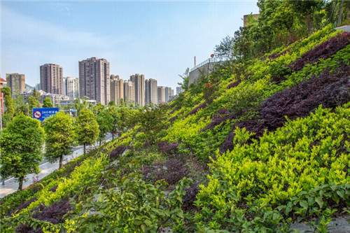 規(guī)劃城市綠化不妨“立起來思考”