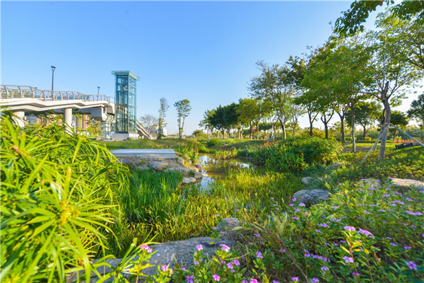 普邦園林丨佛山西江產(chǎn)業(yè)新城景觀