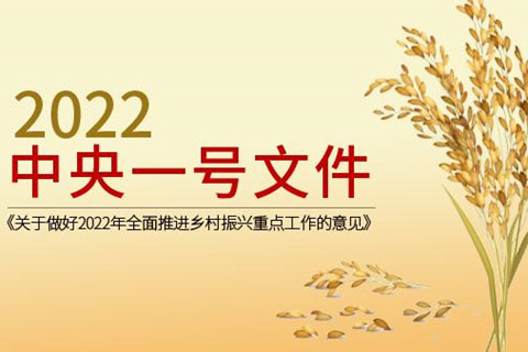 2022一號文件發布 推進鄉村振興