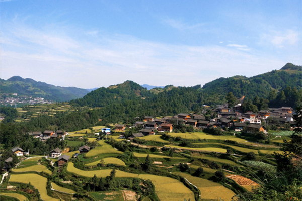 鄉(xiāng)村振興，設計師如何大有作為？