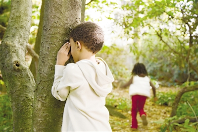 三億青少年進森林研學，離我們還有多遠？