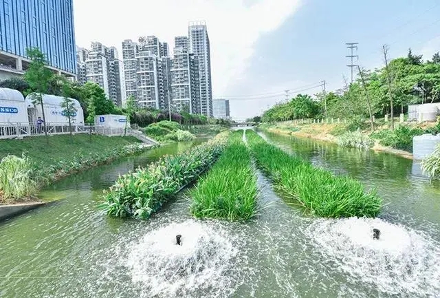 四部門印發黑臭水體治理攻堅戰方案