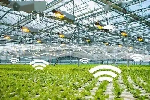 清華張紅宇：加快數字鄉村建設