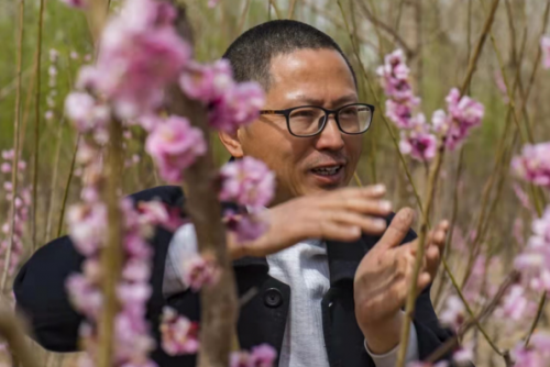 代樹剛：讓京城百姓看得見梅花