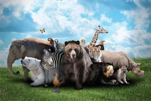 崔書(shū)紅：開(kāi)啟生物多樣性保護(hù)新篇章