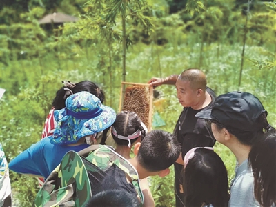 在國家公園開展自然教育如何體現公益屬性？