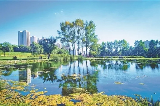 趙兵：結(jié)合市場(chǎng)營(yíng)銷(xiāo)進(jìn)行公園設(shè)計(jì)