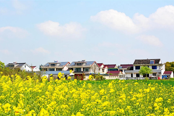 南京林業大學舉辦美麗鄉村規劃與建設學術研討會
