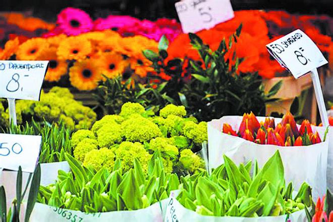 成都世園會(huì)，看園林也看“花經(jīng)濟(jì)”