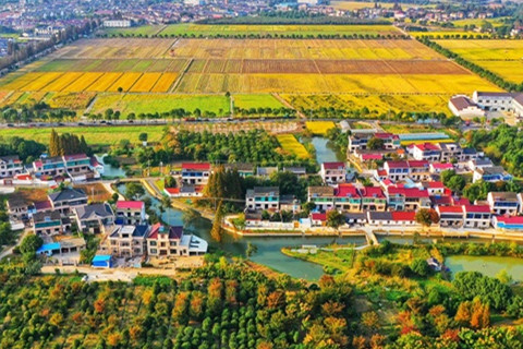 清華美院聯(lián)合編制江蘇首個鄉(xiāng)村建設(shè)美學(xué)導(dǎo)則發(fā)布