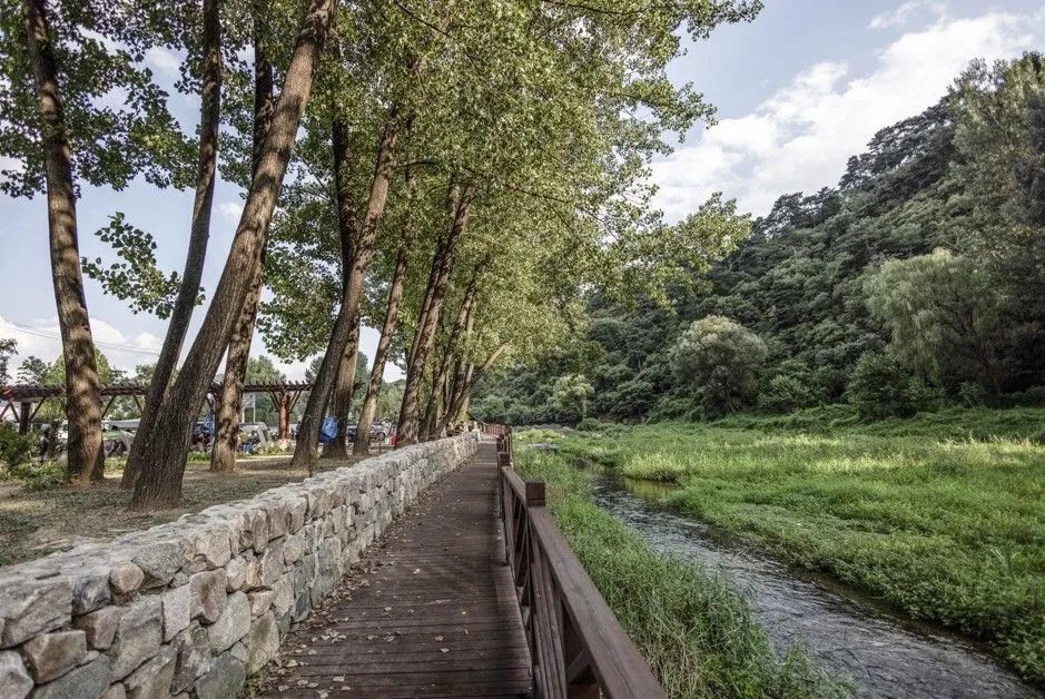 園冶杯參賽作品丨栗花溪谷中的風景道