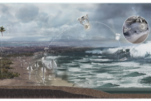 第十三屆園冶杯一等獎作品賞析丨逆風而上