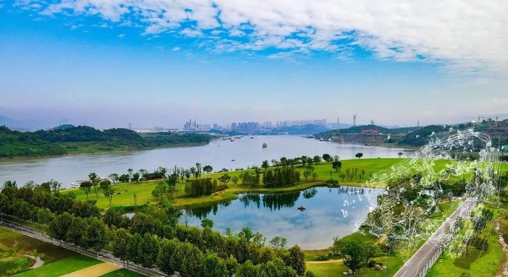 園冶杯金獎作品丨廣陽島生態修復項目