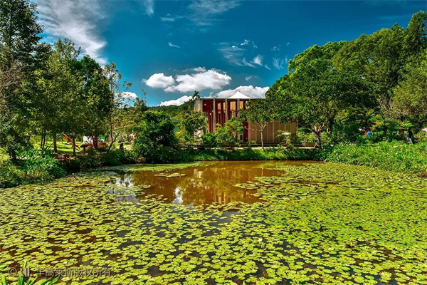 臺灣南投縣桃米村:多元產(chǎn)業(yè)融合 打造生態(tài)IP