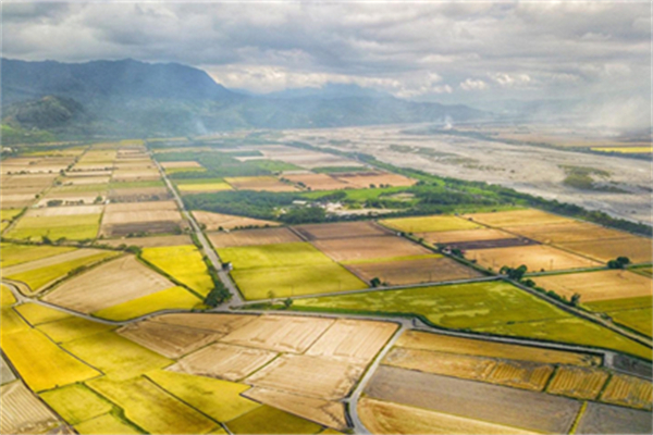 臺東縣池上鄉(xiāng):稻米之鄉(xiāng)奏響四季樂章