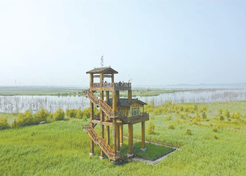 北京首發森林體驗指數