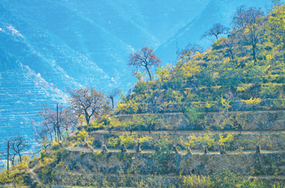 農業文化遺產——應對氣候變化的智慧