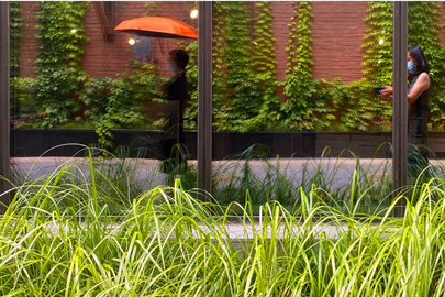 園冶杯獲獎(jiǎng)作品丨車(chē)公莊19號(hào)院景觀改造