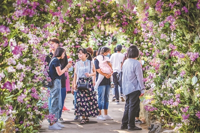 專家熱議:高水平推進國家植物園體系建設