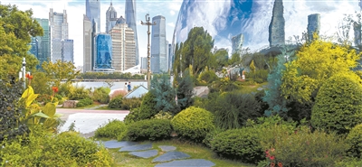 悄然崛起的花境行業期待產業化發展