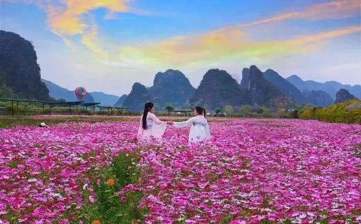 發展賞花游，還得算好生態賬