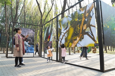 北京朝陽打造“公園城市示范區”